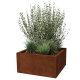 Cortenstaal gelaste plantenbak Montana 80 x 80 x 40 cm (zonder bodemplaat)