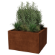 Cortenstaal plantenbak - Vierkant - 100 x 100 x 60 cm - Gelast - Zonder bodemplaat