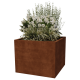 Cortenstaal plantenbak - Vierkant - 100 x 100 x 80 cm - Gelast - Zonder bodemplaat