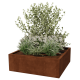 Cortenstaal gelaste plantenbak Montana 120 x 120 x 40 cm (zonder bodemplaat)