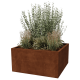 Cortenstaal plantenbak - Vierkant - 120 x 120 x 60 cm - Gelast - Zonder bodemplaat