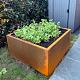 Cortenstaal gelaste plantenbak Montana 120 x 120 x 60 cm (zonder bodemplaat)