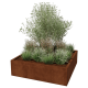 Cortenstaal plantenbak - Vierkant - 140 x 140 x 40 cm - Gelast - Zonder bodemplaat
