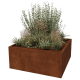 Cortenstaal plantenbak - Vierkant - 140 x 140 x 60 cm - Gelast - Zonder bodemplaat