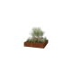 Cortenstaal plantenbak - Vierkant - 200 x 200 x 40 cm - Gelast - Zonder bodemplaat