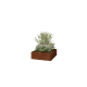 Cortenstaal plantenbak - Vierkant - 120 x 120 x 40 cm - Gelast - Met bodemplaat