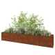 Cortenstaal plantenbak XXL - Rechthoek - 500 x 80 x 80 cm - Zonder bodemplaat