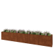 Cortenstaal plantenbak XXL - Rechthoek - 500 x 60 x 80 cm - Zonder bodemplaat