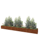 Cortenstaal plantenbak XXL - Rechthoek - 500 x 60 x 40 cm - Zonder bodemplaat