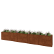 Cortenstaal plantenbak XXL - Rechthoek - 500 x 50 x 80 cm - Met bodemplaat