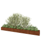 Cortenstaal plantenbak XXL - Rechthoek - 500 x 50 x 40 cm - Met bodemplaat