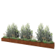 Cortenstaal plantenbak XXL - Rechthoek - 500 x 50 x 30 cm - Zonder bodemplaat