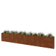 Cortenstaal plantenbak XXL - Rechthoek - 500 x 40 x 80 cm - Met bodemplaat