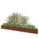 Cortenstaal plantenbak XXL - Rechthoek - 500 x 40 x 40 cm - Zonder bodemplaat