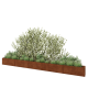 Cortenstaal plantenbak XXL - Rechthoek - 500 x 30 x 40 cm - Met bodemplaat