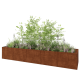 Cortenstaal plantenbak XXL - Rechthoek - 500 x 120 x 80 cm - Met bodemplaat