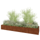 Cortenstaal plantenbak XXL - Rechthoek - 500 x 120 x 60 cm - Zonder bodemplaat
