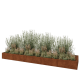 Cortenstaal plantenbak XXL - Rechthoek - 500 x 120 x 40 cm - Zonder bodemplaat