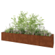 Cortenstaal plantenbak XXL - Rechthoek - 500 x 100 x 80 cm - Zonder bodemplaat