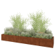 Cortenstaal plantenbak XXL - Rechthoek - 500 x 100 x 60 cm - Zonder bodemplaat