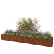 Cortenstaal plantenbak XXL - Rechthoek - 500 x 100 x 50 cm - Met bodemplaat