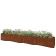 Cortenstaal plantenbak XXL - Rechthoek - 480 x 50 x 60 cm - Zonder bodemplaat