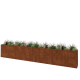 Cortenstaal plantenbak XXL - Rechthoek - 480 x 40 x 80 cm - Zonder bodemplaat