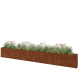 Cortenstaal plantenbak XXL - Rechthoek - 480 x 30 x 60 cm - Zonder bodemplaat