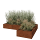 Cortenstaal plantenbak - L-vorm - 240 x 160 x 30 cm - Met bodemplaat