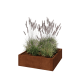 Cortenstaal plantenbak - Vierkant - 100 x 100 x 30 cm - Met bodemplaat