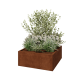 Cortenstaal plantenbak - Vierkant - 100 x 100 x 40 cm - Met bodemplaat