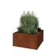 Cortenstaal plantenbak - Vierkant - 100 x 100 x 50 cm - Zonder bodemplaat