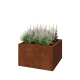 Cortenstaal plantenbak - Vierkant - 100 x 100 x 60 cm - Met bodemplaat