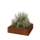 Cortenstaal plantenbak - Vierkant - 120 x 120 x 30 cm - Zonder bodemplaat