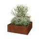 Cortenstaal plantenbak - Vierkant - 120 x 120 x 40 cm - Zonder bodemplaat