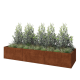 Cortenstaal plantenbak XXL - Rechthoek - 360 x 100 x 60 cm - Zonder bodemplaat