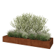Cortenstaal plantenbak XXL - Rechthoek - 360 x 100 x 40 cm - Zonder bodemplaat