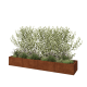 Cortenstaal plantenbak XXL - Rechthoek - 320 x 60 x 40 cm - Zonder bodemplaat