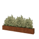 Cortenstaal plantenbak XXL - Rechthoek - 320 x 30 x 40 cm - Zonder bodemplaat