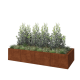 Cortenstaal plantenbak XXL - Rechthoek - 320 x 120 x 60 cm - Zonder bodemplaat