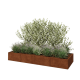 Cortenstaal plantenbak XXL - Rechthoek - 320 x 100 x 40 cm - Zonder bodemplaat