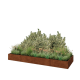 Cortenstaal plantenbak XXL - Rechthoek - 320 x 100 x 30 cm - Met bodemplaat