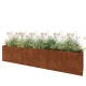 Cortenstaal plantenbak XXL - Rechthoek - 300 x 50 x 60 cm - Zonder bodemplaat