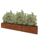 Cortenstaal plantenbak XXL - Rechthoek - 300 x 40 x 40 cm - Zonder bodemplaat