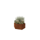 Cortenstaal plantenbak - Zeshoek - 159,3 x 138,6 x 60 cm - Zonder bodemplaat