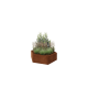 Cortenstaal plantenbak - Zeshoek - 119,3 x 103,9 x 30 cm - Zonder bodemplaat