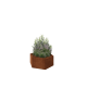 Cortenstaal plantenbak - Zeshoek - 79,3 x 69,3 x 30 cm - Zonder bodemplaat