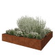 Cortenstaal plantenbak XXL - Vierkant - 300 x 300 x 50 cm - Zonder bodemplaat