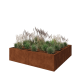 Cortenstaal plantenbak XXL - Vierkant - 240 x 240 x 60 cm - Zonder bodemplaat