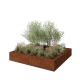 Cortenstaal plantenbak XXL - Vierkant - 240 x 240 x 40 cm - Zonder bodemplaat